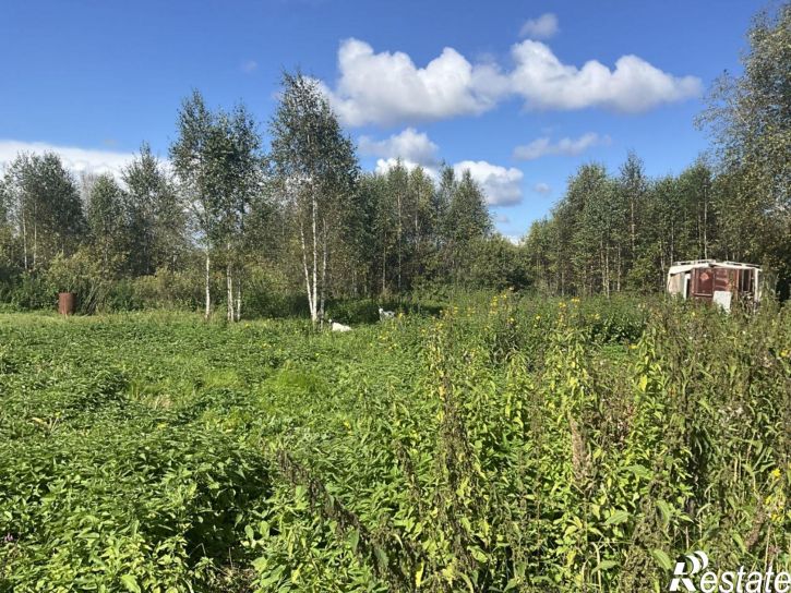 Земельный участок ул Ульянова, 6,  д. 6