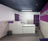 помещение 55 кв м улица Алексея Леонова, 30