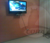 2-комн, 65кв м, этаж 2/9 Широтная улица, 148