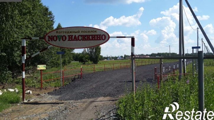 Земельный участок Насекина
